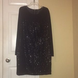 Long sleeve sequin and mesh dress.      NWOT